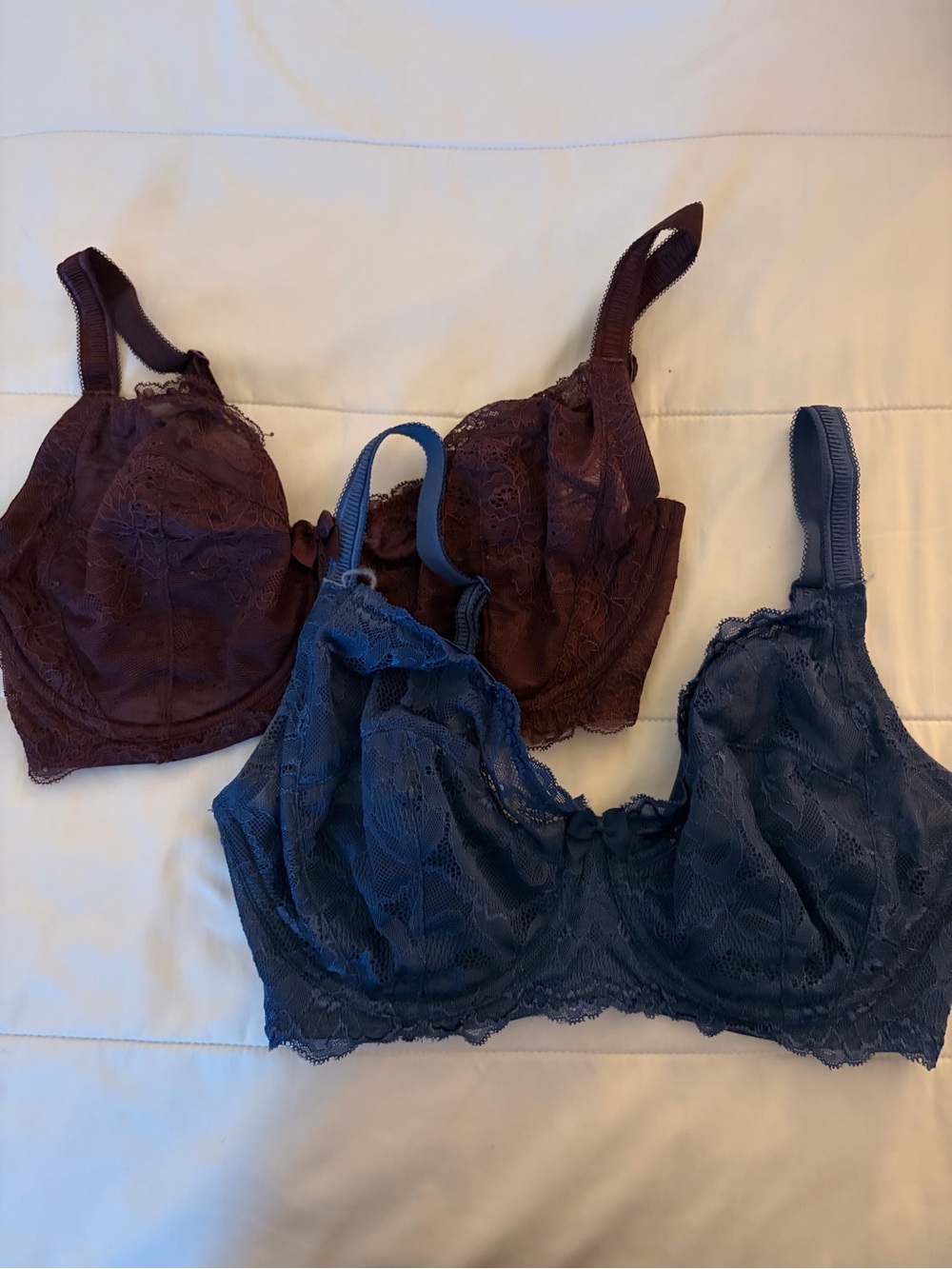 Blush Lace Underwire Bras in Blue and Burgundy